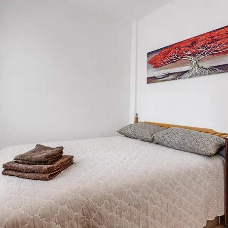 Caballero De Rodas *