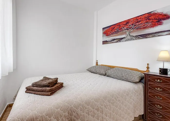 Caballero De Rodas *